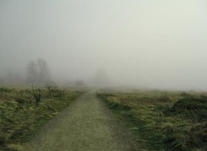 Active Bond ETFs Gain Momentum As 2026 Begins