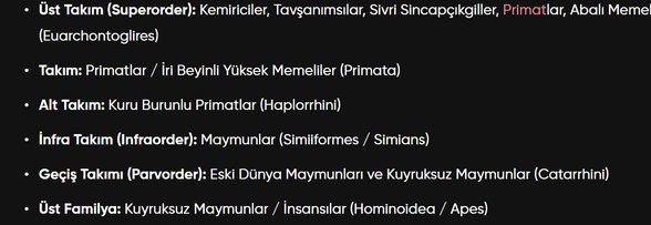 İnsanın taksonomik konumu.