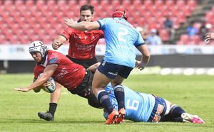 Bulls Dominate Lions In Thrilling Rugby Derby