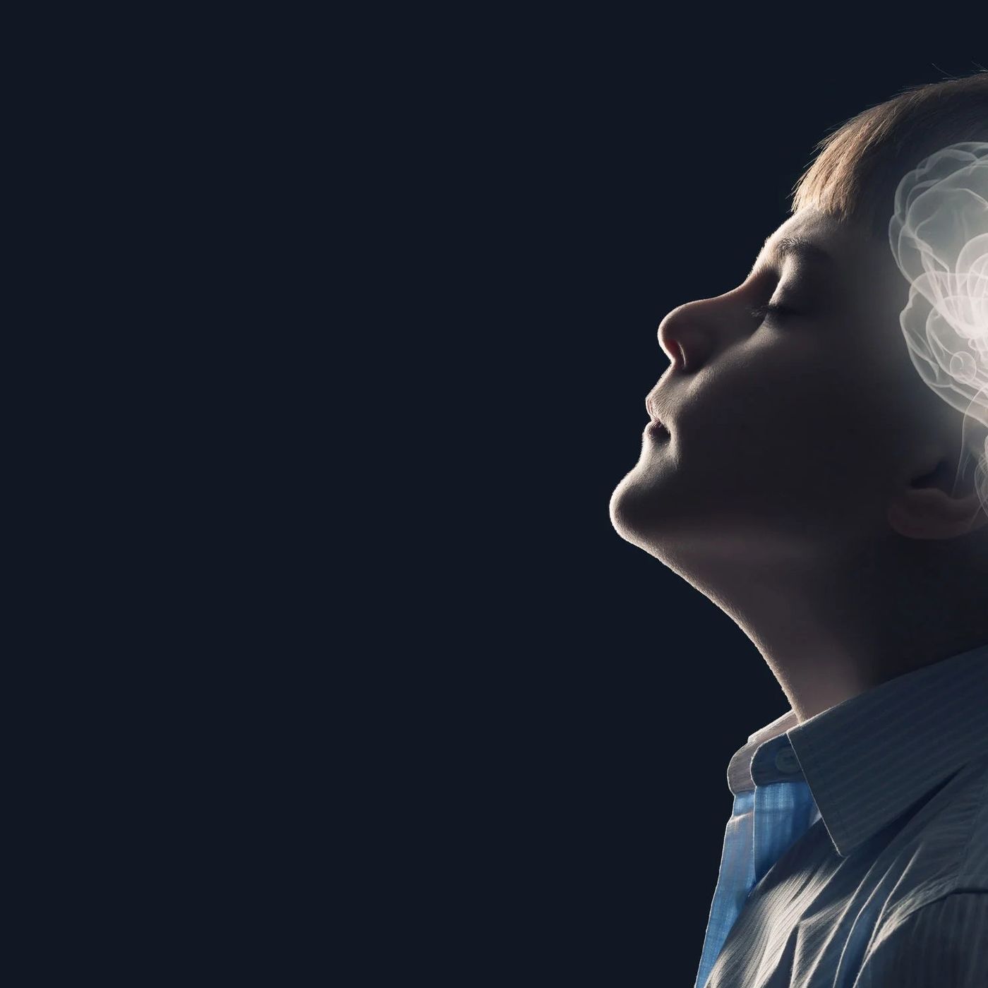 Anıları Nasıl Depoluyoruz ve Gerektiğinde Nasıl Hatırlıyoruz?