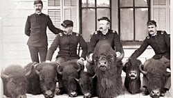 Büyük Bizon Katliamı Nedir? Bir Türü Yok Ederek Bir Halkı Teslim Almak Mümkün mü?