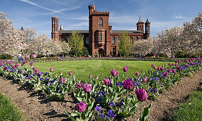 The Smithsonian Institution Fellowship Program (SIFP)