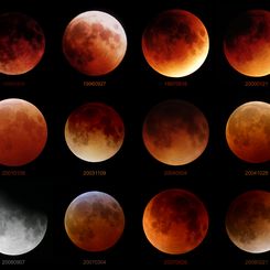 Twelve Lunar Eclipses