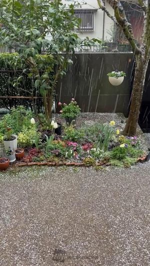 Hailstorm Strikes Tokyo Region Amid Weather Alerts