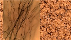 Karanlık Maddenin resmedildiği ile ilgili haber gördüm doğru mu?