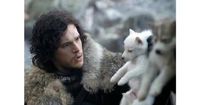 Ученые воссоздали вымерших лютоволков из сериала 