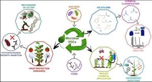 Link Between Volatile Organic Compounds And Atherosclerosis Risk Revealed