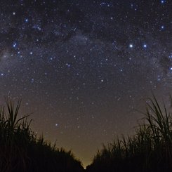 A Starry Night in Brazil
