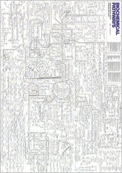 Neden canlılar çok karmaşıktır?