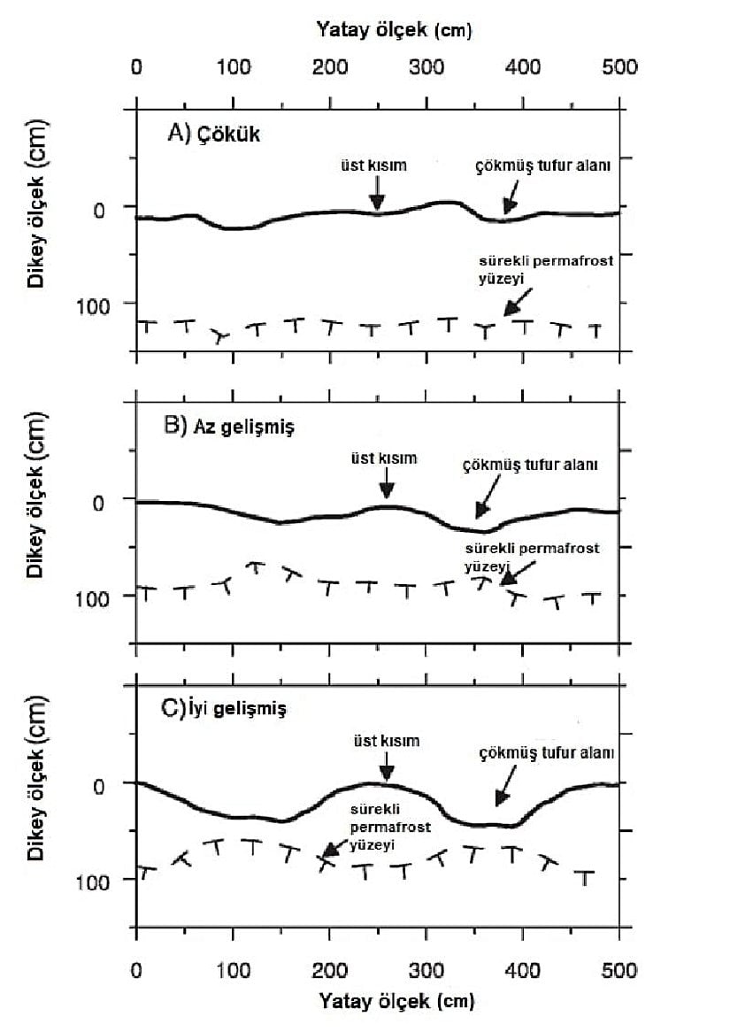 Tufurun oluşum aşamaları yukarıdan aşağıya doğru gösterilmiştir. Görselde ki yazılar, Evrim Ağacı tarafından Türkçeye çevrilmiştir.