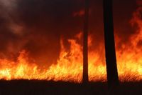 Zeer grote bosbrand, groots opgeschaald - 112Brabant
