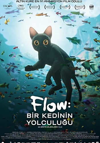 Flow: Bir Kedinin Yolculuğu