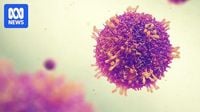 Measles outbreaks reported in 11 US states, surpassing 1,000 cases