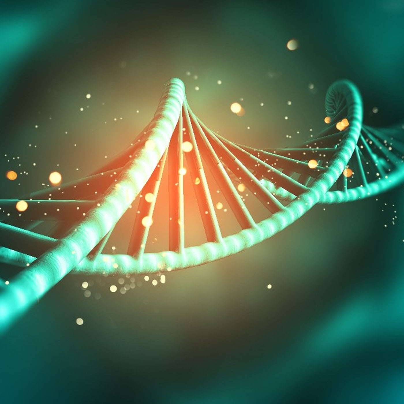 Evrim Ağacı ile Bilime Dair Her Şey!