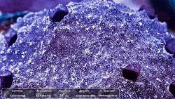 Süngerler Atıkları Atmak İçin “Hapşırıyor”