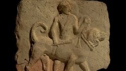 Neden Hiçbir Hayvan İnsanla Köpek Kadar Yakınlaşamadı?