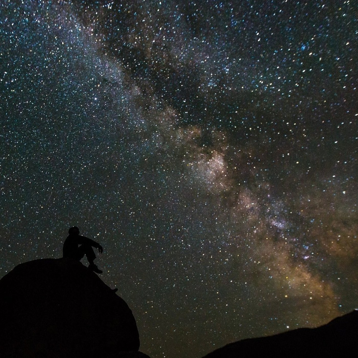 Evrim Ağacı ile Bilime Dair Her Şey!