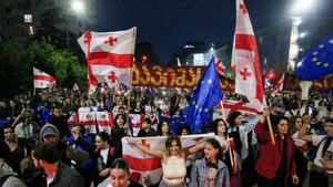 Georgia Faces Turmoil As Pro-EU Protests Intensify