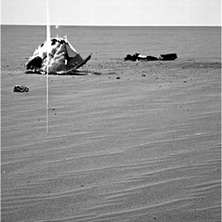 Metal on the Plains of Mars