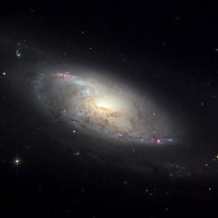 M106 in Canes Venatici