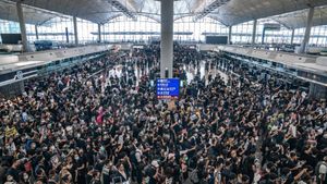 Climate Activists Disrupt Airports Across Germany