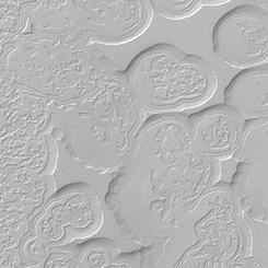 Mars’ta İsviçre Peyniri Gibi Bir Manzara