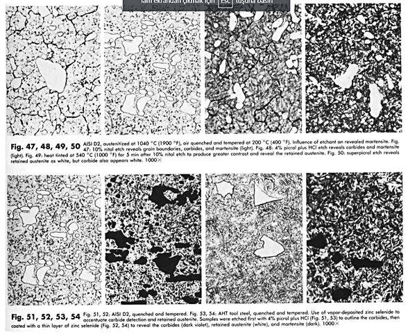 elektron mikroskoplarından çıkan görüntüler