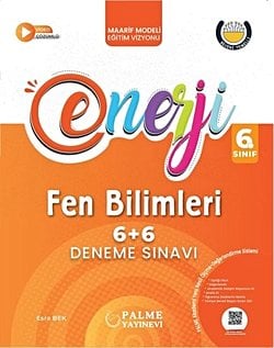 PALME 6.SINIF ENERJİ 6+6 FEN BİLİMLERİ DENEME SINAVI