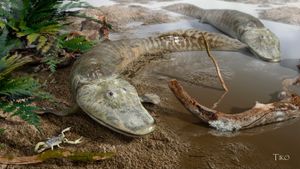 Tiktaalik roseae: Evrim Teorisi'nin Öngörü Gücü Gösteren Harika Bir Ara Tür Fosili!