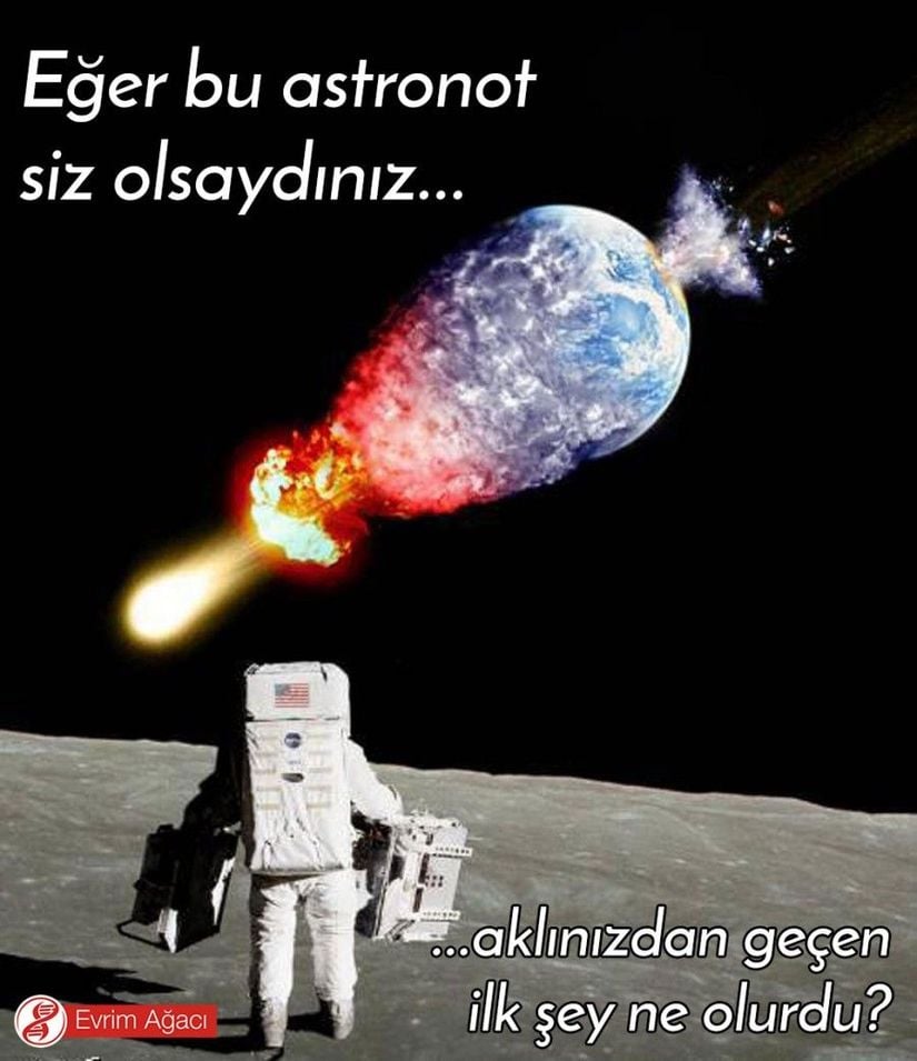 Genellikle Ay'a ilk ayak basıldığındaki sözler üzerinde dururuz. Birçoğumuz Neil Armstrong tarafından Ay'a ilk defa ayak basıldığında sarf edilen &quot;Benim için küçük, insanlık için büyük bir adım.&quot; lafını bilir. Ay yüzeyinde insanlığın sarf ettiği sözler de yine Armstrong tarafından sarf edilen &quot;Houston, burası Tranquility Base (Sükunet Üssü). Eagle (Kartal) iniş yaptı.&quot; sözüdür. Peki ya Dünya'nın yok oluşunu gözlerimizle görecek olsaydık, nasıl bir söz sarf ederdik?