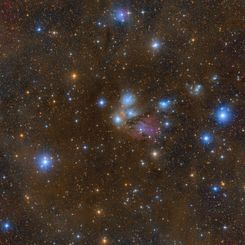 NGC 2170: Celestial Still Life