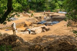 400.000 Yıllık Kamp Ateşi: İnsanların Ateş Yakmayı Sandığımızdan Çok Daha Erken Öğrendiğine Dair Yeni Kanıt.