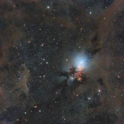 Stardust in the Perseus Molecular Cloud