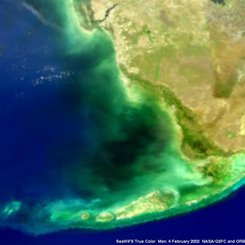 Mysterious Black Water in Florida Bay