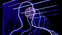 Evrimsel Psikoloji Bilimsel mi? Evrimsel Psikoloji Hakkında Yaygın Olarak İnanılan 7 Hatalı Fikir...