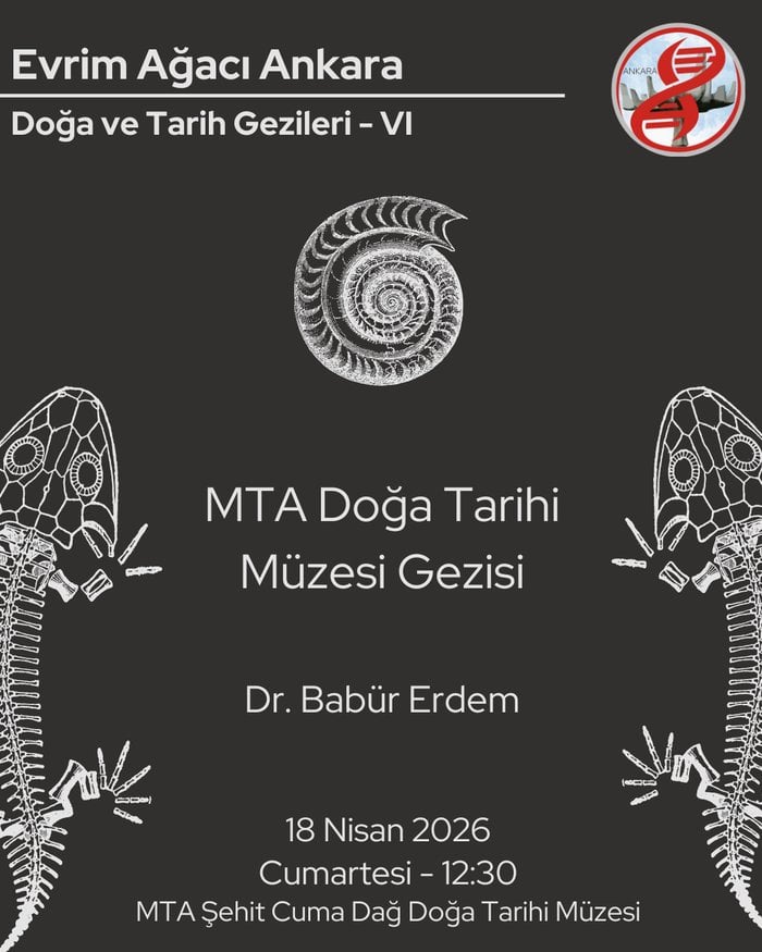 MTA Doğa Tarihi Müzesi Gezisi