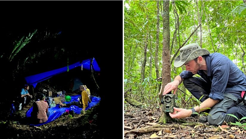 Dişli Gagalı Güvercin keşif ekibinin üyeleri. Solda, bir ekip üyesi iz kamerası kuruyor.