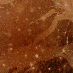 Voyager's Preview of Galileo at Ganymede