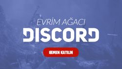 Evrim Ağacı Discord Sunucusu Yayında!