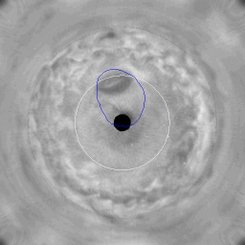 Jupiter's Great Dark Spot