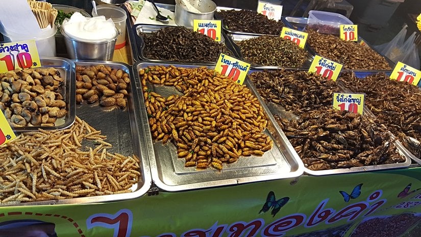 Tayland'da açık pazarda satılan kavrulmuş yenilebilir böcekler.