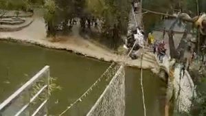 Tokyo Rope Bridge Collapse Sparks Safety Concerns