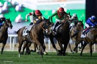 【ドバイターフ】昨年はドウデュースに先着！リバティアイランドを脅かす有力外国馬