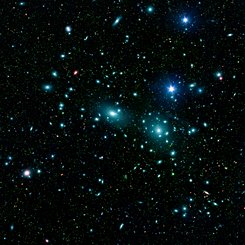 Dwarf Galaxies in the Coma Cluster
