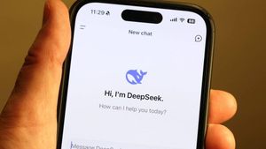 International Regulators Investigate DeepSeek AI Privacy Issues