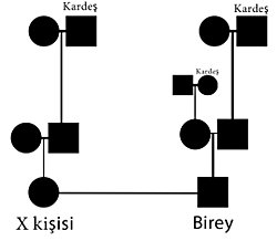 Bir bireyin;babasının ve annesinin, ortak kuzeninin,sülaleden olmayan biriyle birlikteliğinden doğmuş olan kızı/oğlu ile evlenmesinin riski nedir?