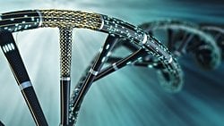 Ekoloji Araştırmalarında Hangi Moleküler Teknikler ve Genetik Belirteçler Kullanılır?