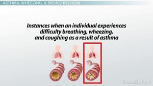 New Study Shows Pleuran Enhances Asthma Control In Children