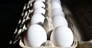 August Egg Company Recalls Millions Of Eggs Over Salmonella