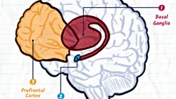 Uyuşturcunun Etkileri